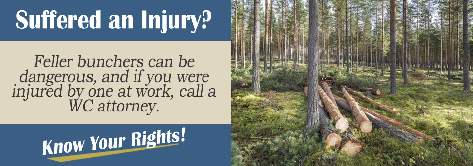 Worker's Compensation for Being Injured by a Feller Buncher