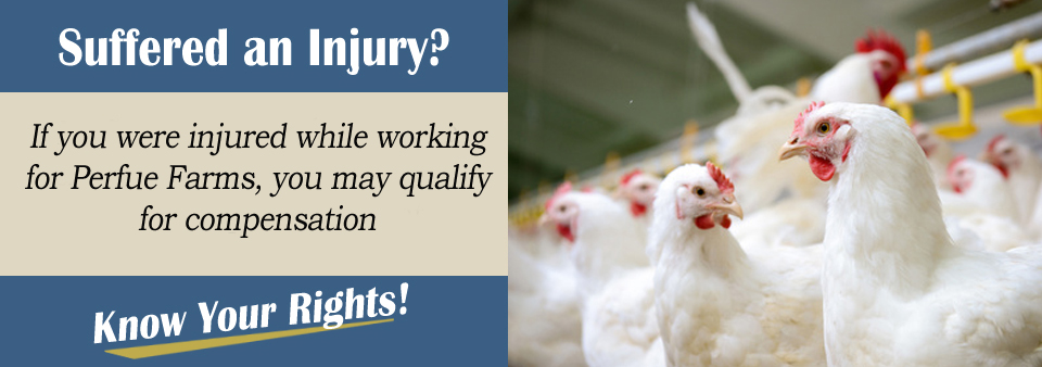 Perdue Farms Workers' Compensation